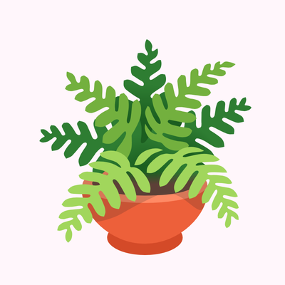 tea & herbs scent category