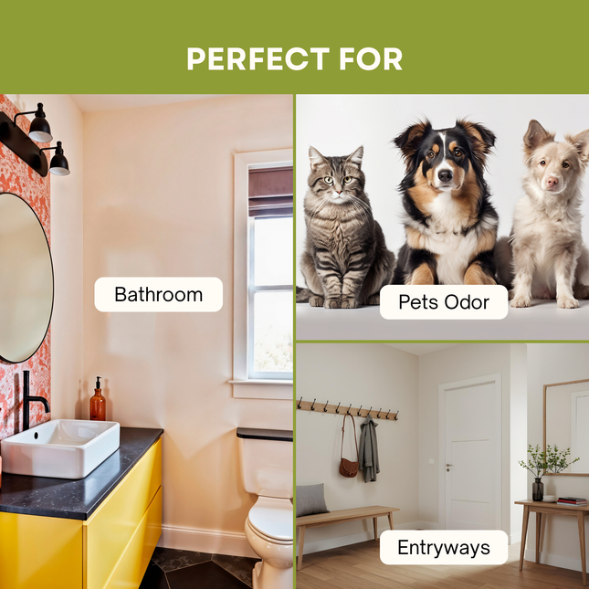 usage: for bathroom, pets odor, and entryways