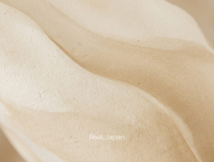 Close-up of sand dunes with 'Real Japan' text