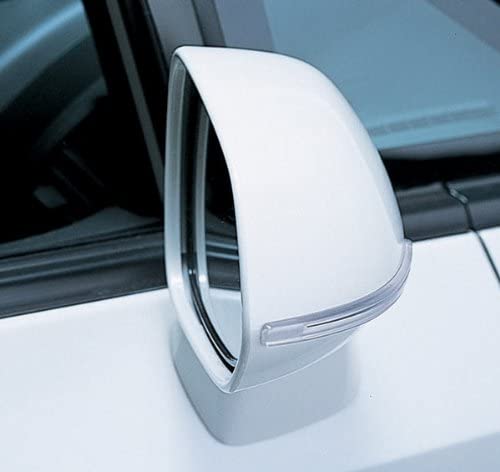 CLEAR DOOR GUARD-Small